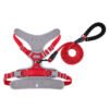 Red Dog Harness with Leash